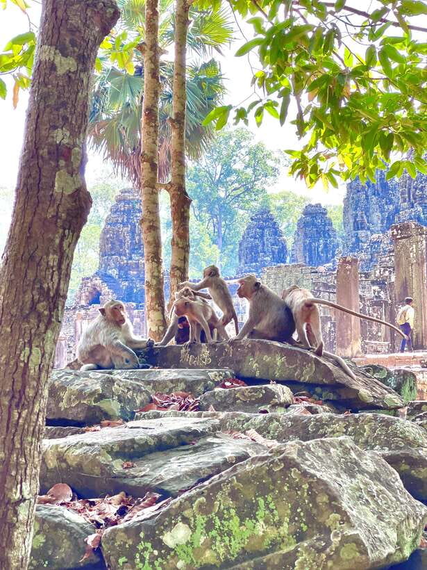Siem Reap: Angkor Wat Private full Day Tour - Angkor Thom and the South Gate