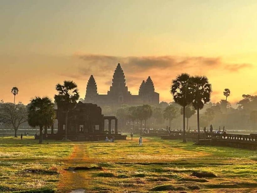 Siem Reap: Angkor Wat Private Tour with Sunrise - Ta Prohm and the appeal of a temple overtaken by trees