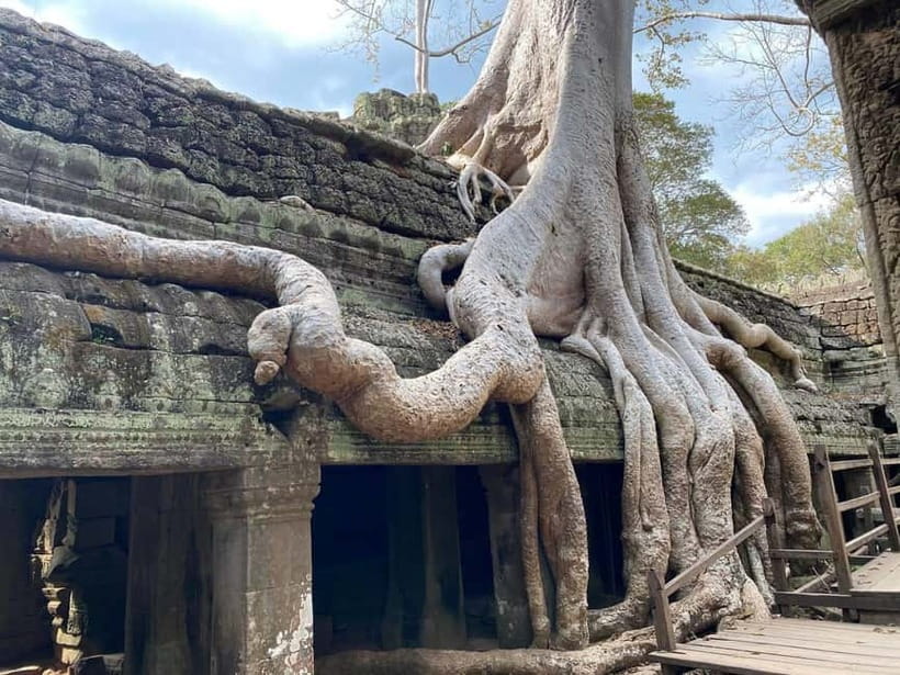 Siem Reap: Angkor Wat Small-Group Day Tour - Who should book this Angkor tour?