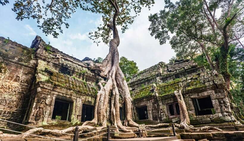 Siem Reap: Angkor Wat: Small-Group Sunrise or Sunset Tour - Is $15 good value?
