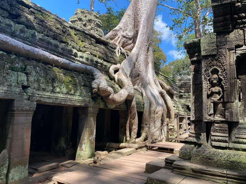 Siem Reap: Angkor Wat Sunrise and Full-Day Sightseeing Tour - A simple breakfast break near Ta Prohm