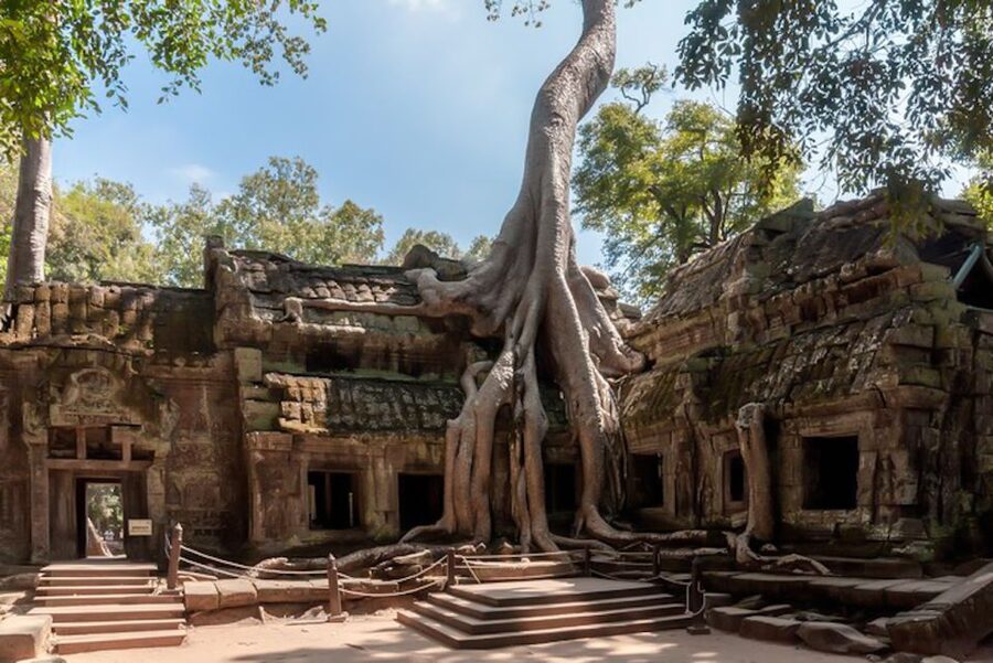 Siem Reap: Angkor Wat Sunrise and Full-Day Sightseeing Tour - Transport, timing, and comfort