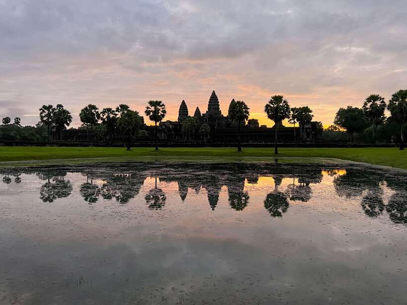 Siem Reap: Angkor Wat Sunrise and Market Tour by Jeep - Ta Prohm, where the forest takes over