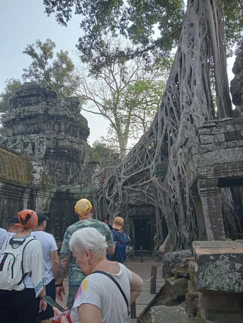 Siem Reap: Angkor Wat Tour with Italian-Speaking Guide - Transport, comfort, and the real cost