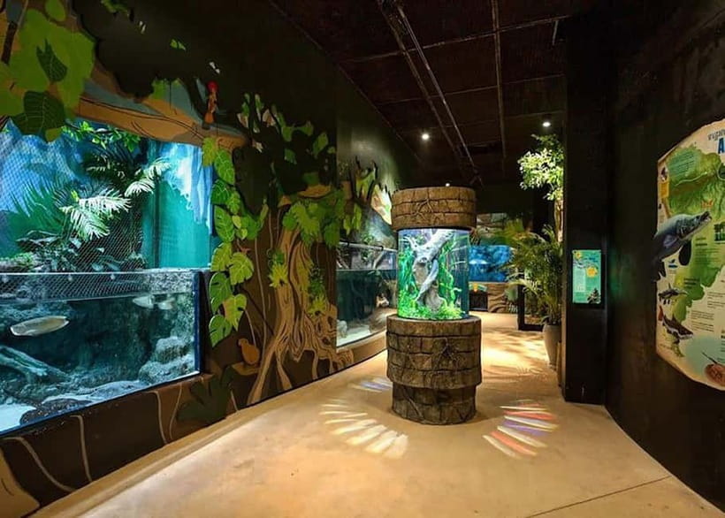 Siem Reap: Angkor Wildlife & Aquarium Entrance Ticket - Starting with otters, reptiles, and native animals