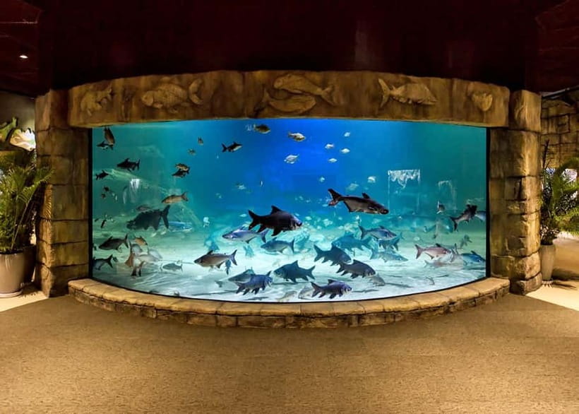 Siem Reap: Angkor Wildlife & Aquarium Entrance Ticket - The aquarium is the strongest part of the visit