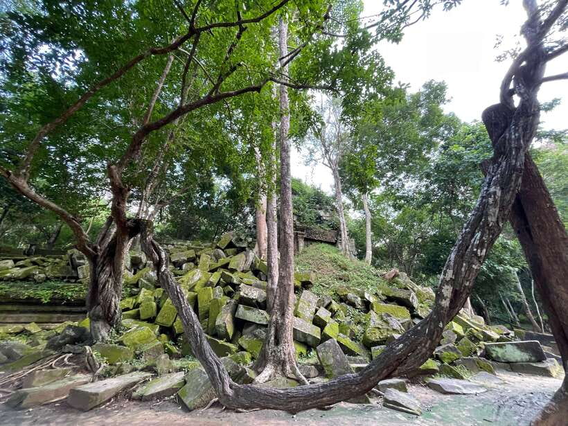 Siem Reap: Beng Mealea, Banteay Srei & Kulen Waterfall Trip - The pink carvings of Banteay Srei