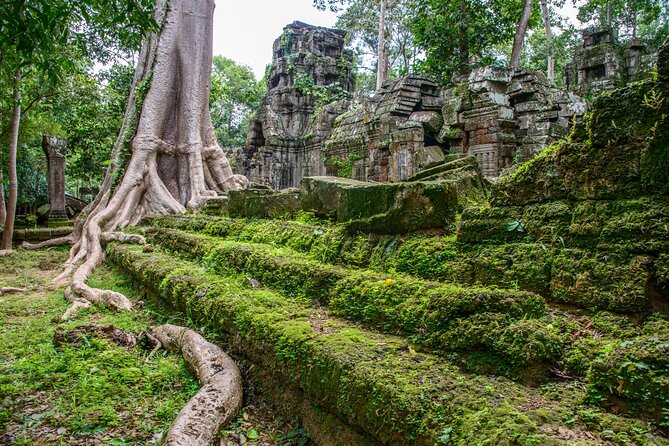 Siem Reap: Bike the Angkor Temples - Full-Day 30km Tour - Why a bicycle changes your Angkor day