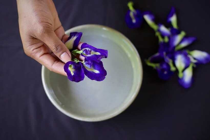 Siem Reap: Cambodian Desserts Cooking Lesson with Tastings - Practical details before you book