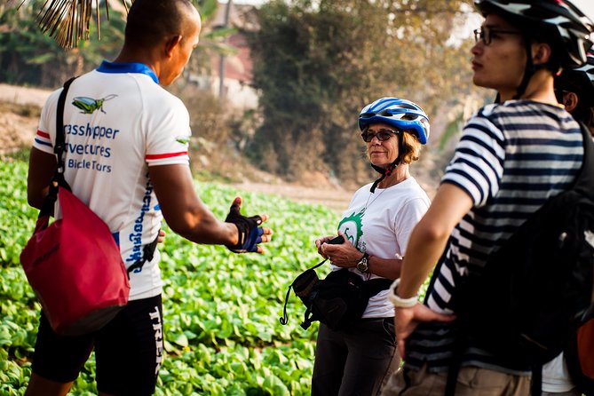 Siem Reap Countryside Guided Tour by Bike and E-Bike Private Tour - Svay Romiet Pagoda and seasonal farm stops