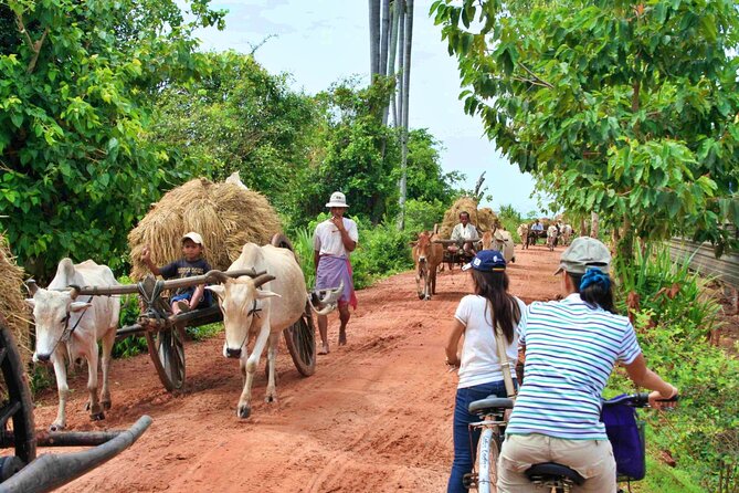 Siem Reap Countryside Jeep Tour - Cycling through rice fields and village lanes