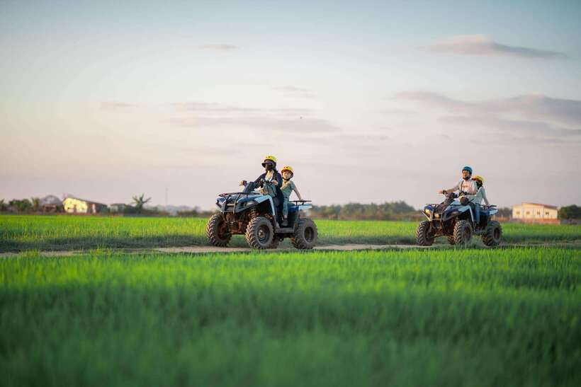 Siem Reap: Countryside Khmer village Tour by Quad Bike & ATV - Rice fields, thatched houses, and everyday Cambodia
