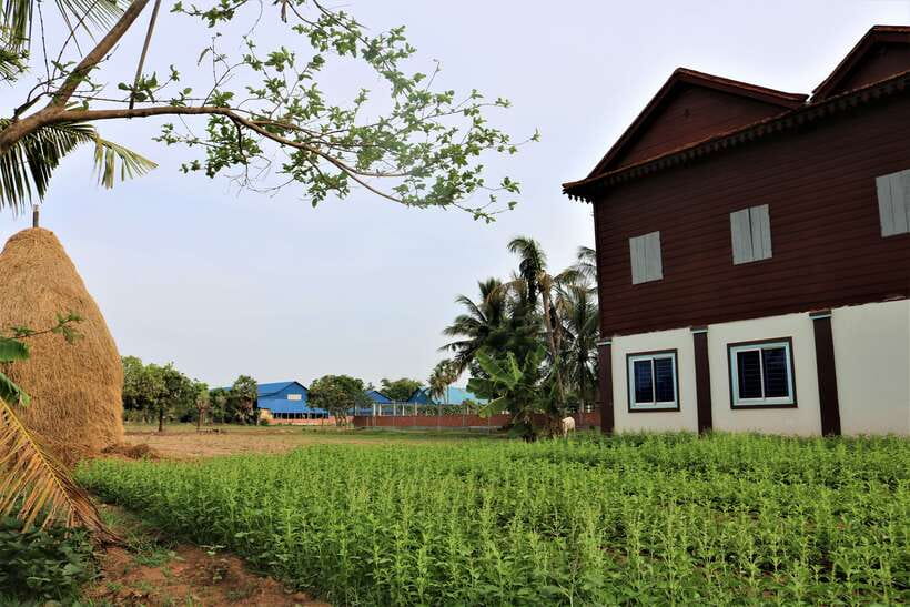 Siem Reap: Countryside Quad Bike Sunset Adventure - What the off-road riding feels like