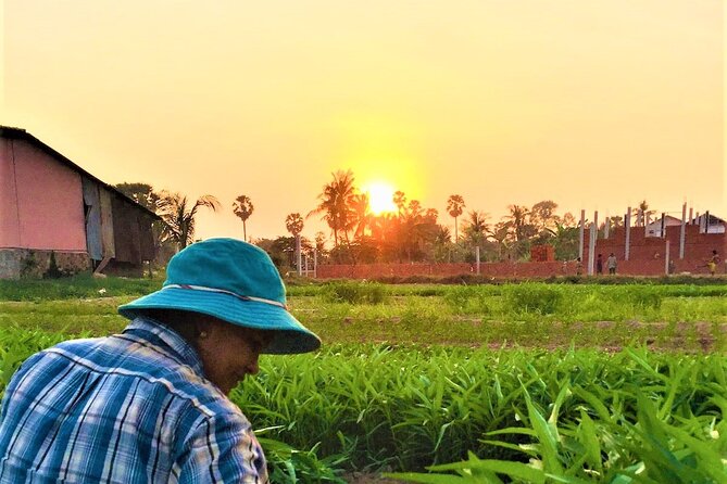 Siem Reap Countryside Sunset Jeep Tour - Half-day - Lotus farms and Buddhist monasteries on the route
