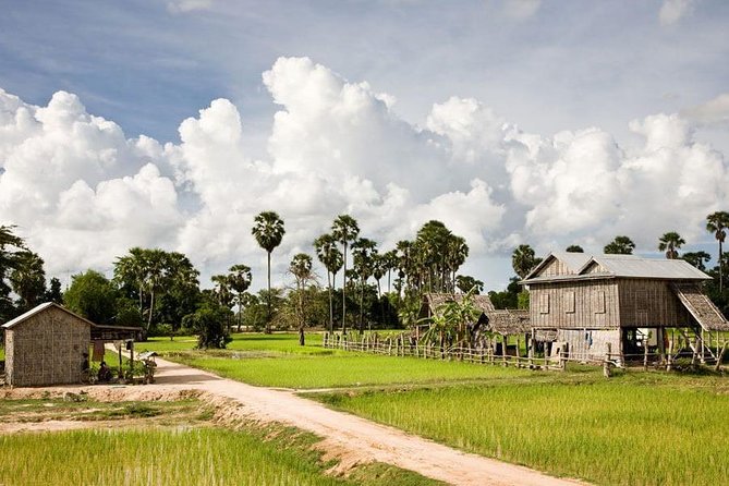 Siem Reap Countryside Sunset Jeep Tour - Half-day - Rice fields and the final sunset