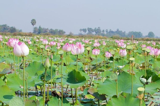 Siem Reap Countryside Sunset Jeep Tour - Half-day - Who will enjoy this half-day outing?