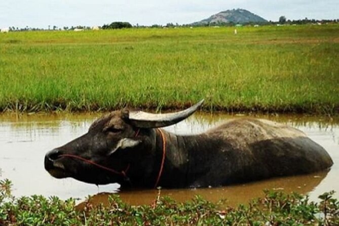 Siem Reap Countryside Sunset Jeep Tour - Half-day - Practical details that affect your decision