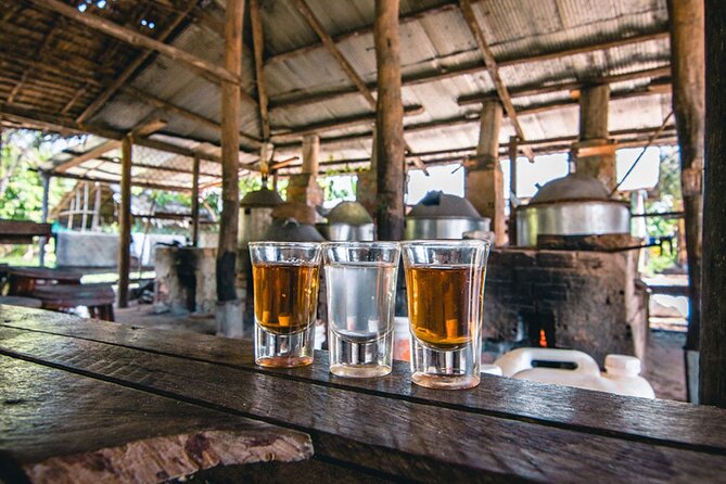 Siem Reap Countryside Sunset Vespa Tour / Tuk Tuk Available - Timing, pickup, and group practicalities