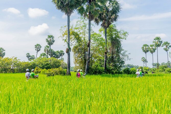 Siem Reap Countryside Vespa Tour / Tuk Tuk Available - Why a Vespa is the right way to see rural Siem Reap