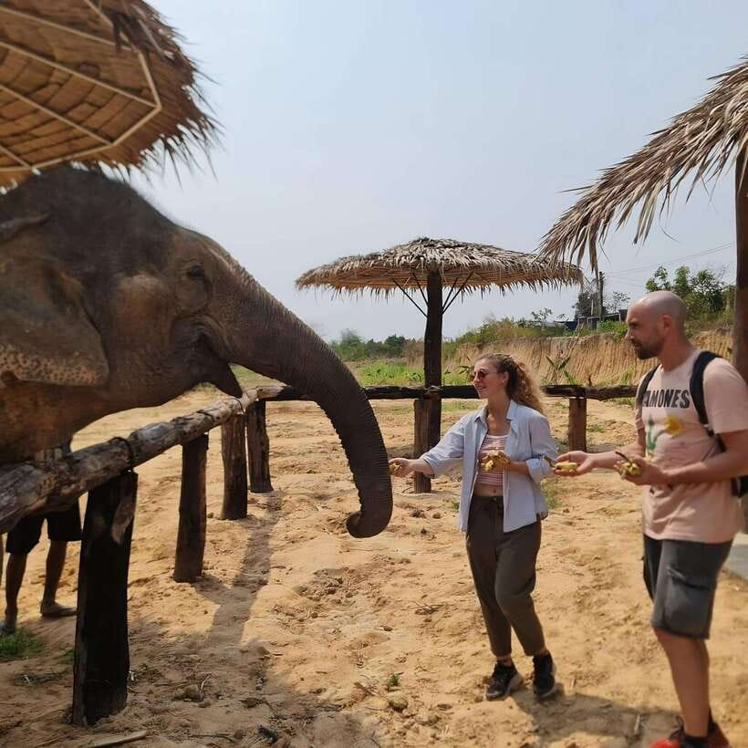 Siem Reap: Elephant Sanctuary Included Hotel Pickup Drop-off - Key points to know before you book