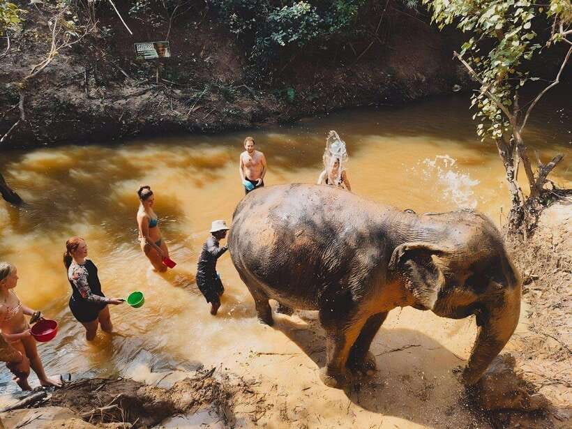 Siem Reap: Elephant Sanctuary Included Hotel Pickup Drop-off - The mud bath and what to wear