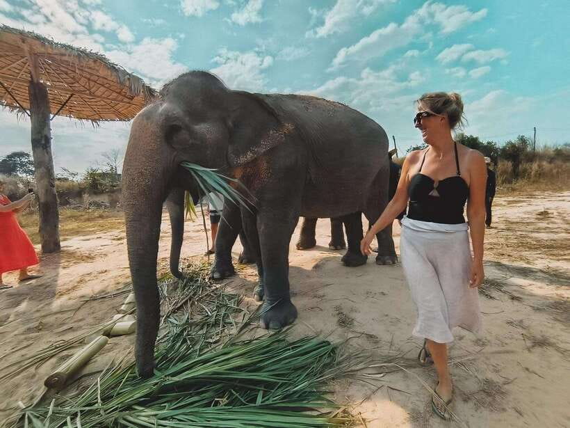 Siem Reap: Elephant Sanctuary Included Hotel Pickup Drop-off - Washing off with the elephants