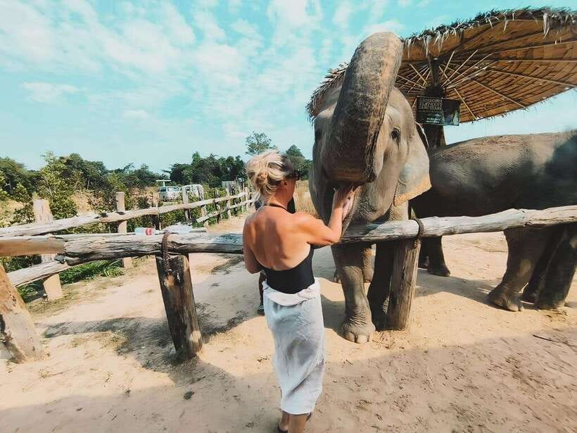 Siem Reap: Elephant Sanctuary Included Hotel Pickup Drop-off - Fruit, water, and coffee after the activity