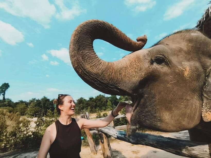 Siem Reap: Elephant Sanctuary Included Hotel Pickup Drop-off - Hotel pickup and the ride from Krong Siem Reap