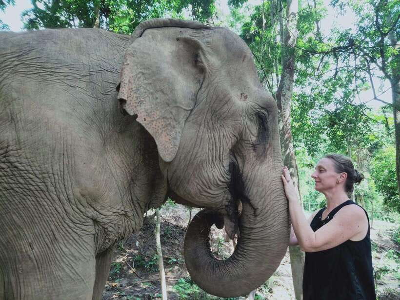 Siem Reap: Elephants & Apopo Rat Demining Private Trip - Two very different animal encounters in one day