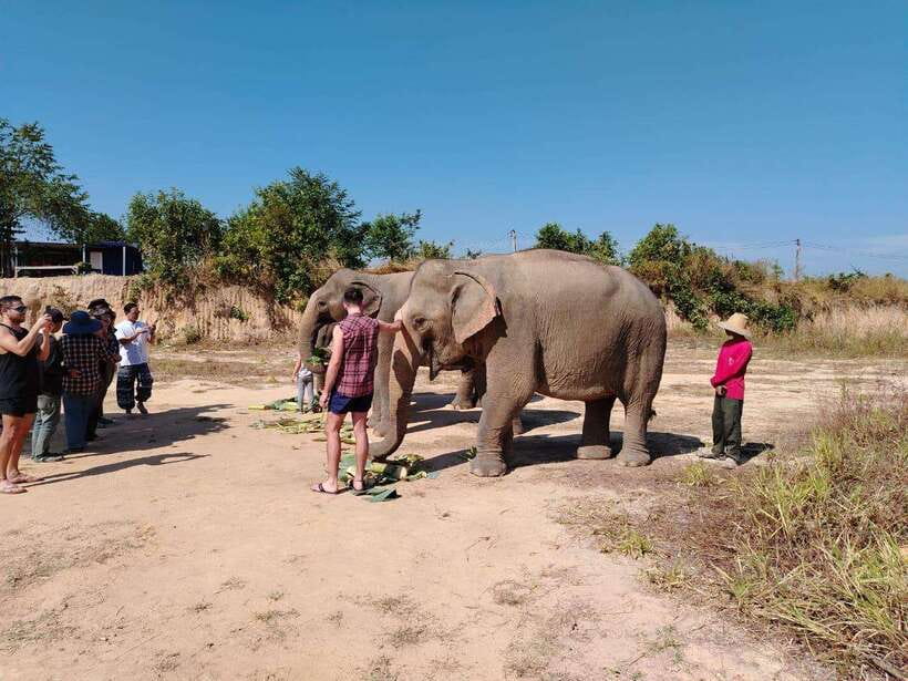 Siem Reap: Elephants & Apopo Rat Demining Private Trip - APOPO and the rats that find landmines