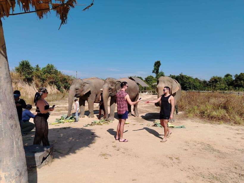 Siem Reap: Elephants & Apopo Rat Demining Private Trip - Small practical details that make a difference