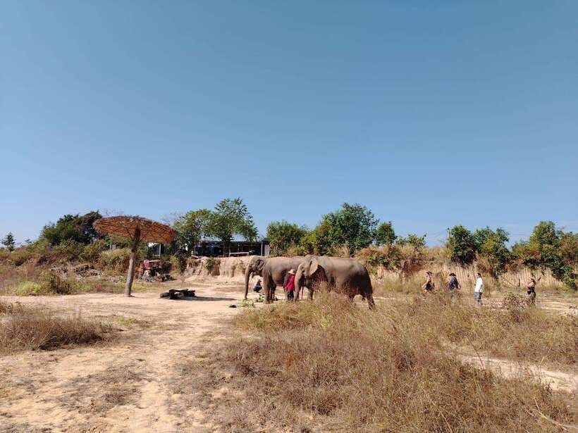 Siem Reap: Elephants & Apopo Rat Demining Private Trip - The road out from Siem Reap