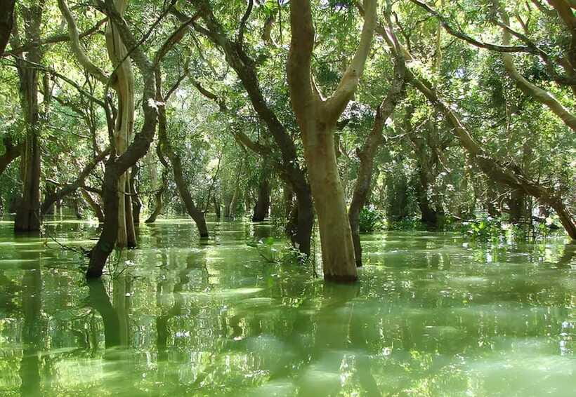 Siem Reap: Floating Village, Kampong Phluk Private Tour - Should you book Kampong Phluk?
