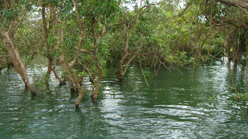 Siem Reap Floating Village Tour, Kompong Phluk Tour - Key points to know before you go