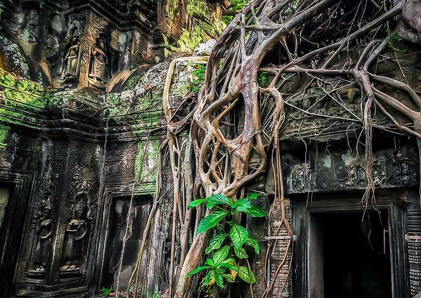 Siem Reap: Full-Day Angkor Wat Guided Tour with Sunset - Price, comfort, and what you really pay