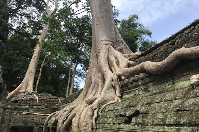 Siem Reap Full Day Angkor Wat Tour Small Group - Heat, walking, and the reality of a full day