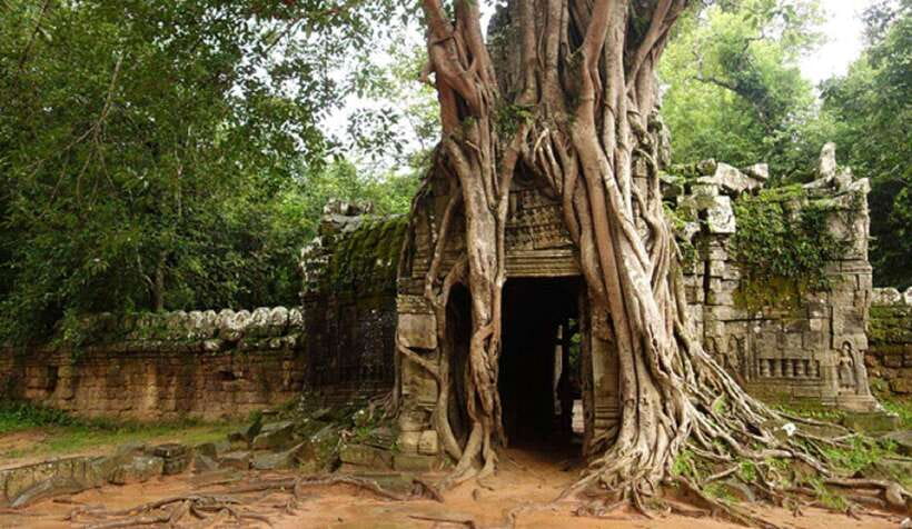 Siem Reap: Grand Circle Temples Tour With Private Tuk-Tuk - The sunrise version needs a quick check