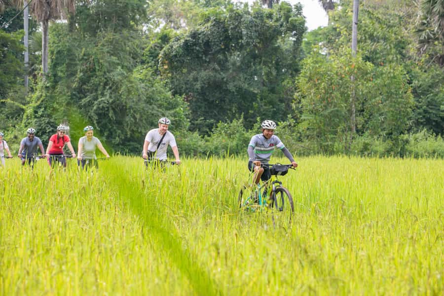 Siem Reap: Guided Countryside Bike Tour - Rice fields and the working countryside