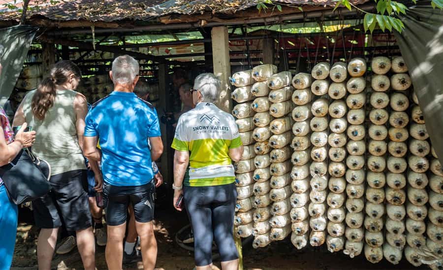 Siem Reap: Guided Countryside Bike Tour - Guide quality and group atmosphere