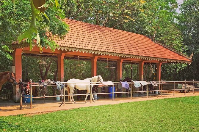 Siem Reap Happy Horse Riding Free Pick-up & Drop-off - Leaving Siem Reap for Happy Shepherd Farm