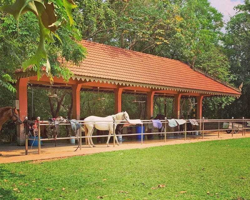 Siem Reap Happy Horse Riding Free Pick-up & Drop-off - A relaxed ride, but not a passive one