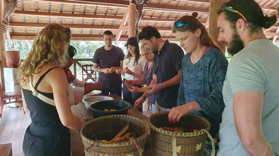 Siem Reap: Kulen Elephant Forest Guided Tour - Lunch at base camp after the morning walk