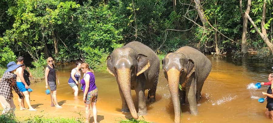 Siem Reap: Kulen Elephant Forest Guided Tour - Who will enjoy this day most?