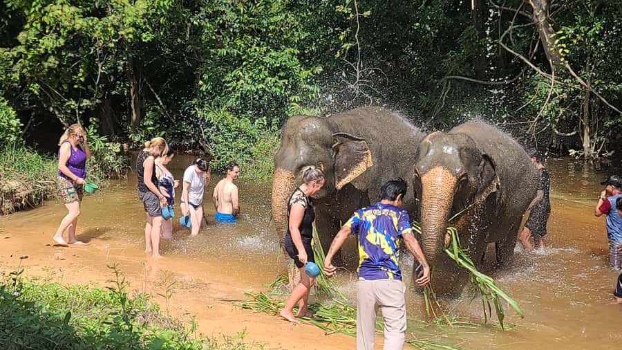 Siem Reap: Kulen Elephant Forest Guided Tour - Practical tips for a smoother visit