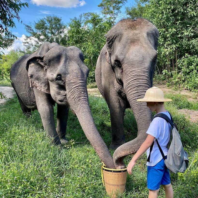 Siem Reap: Kulen Elephant Forest & Tonlesap Lake - FAQ