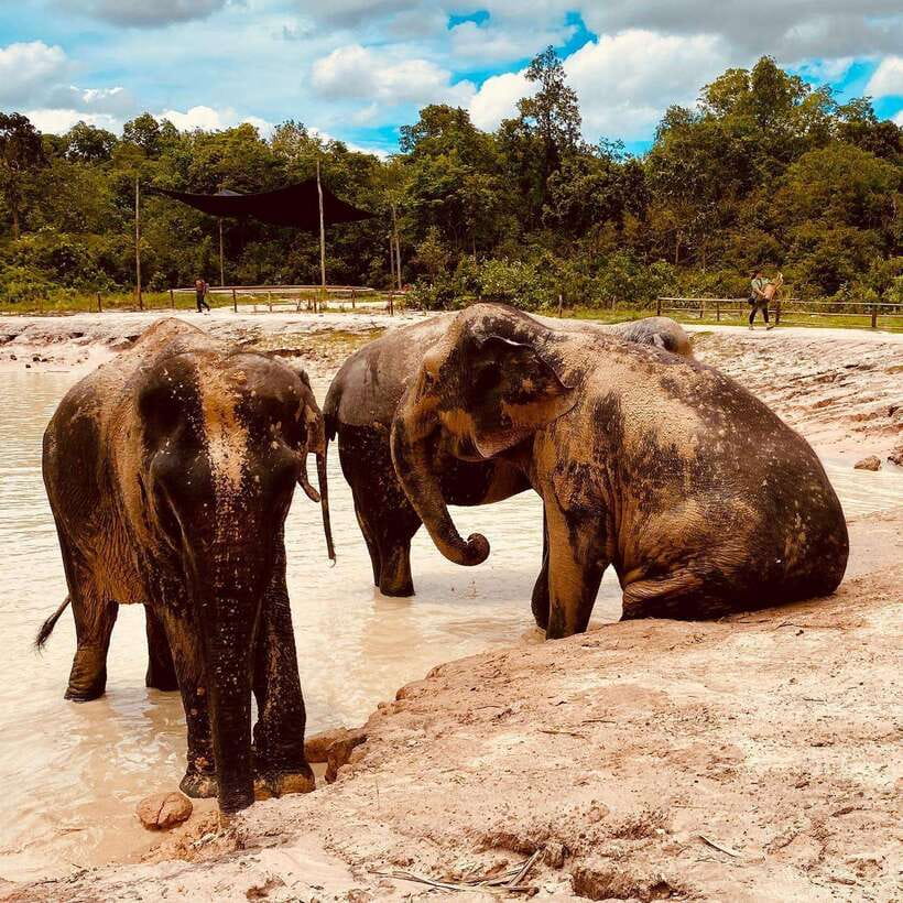 Siem Reap: Kulen Elephant Forest & Tonlesap Lake - Tonle Sap and the stilted homes of Kompong Phluk