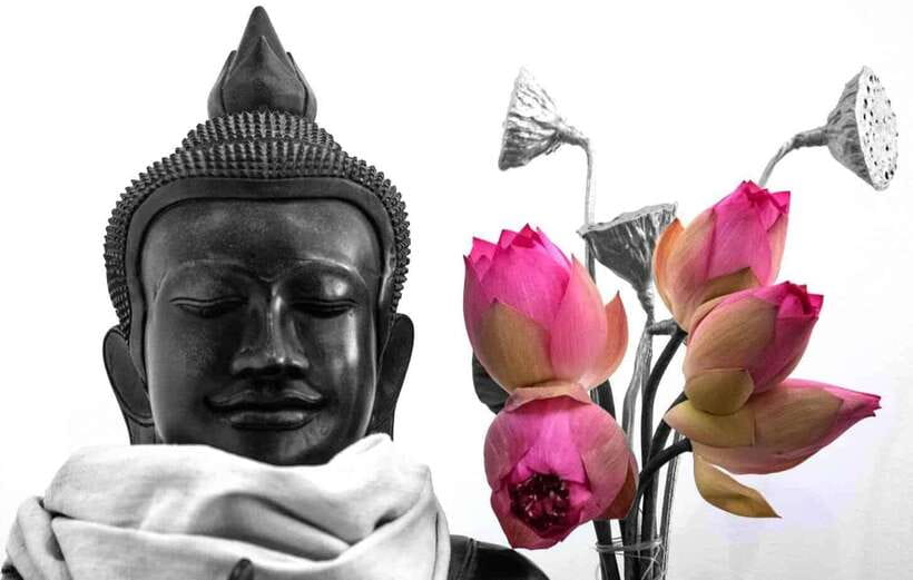 Siem Reap Lotus Silk Farm Discovery tour & Lake experience - A 30-minute tour of the Lotus Silk Farm