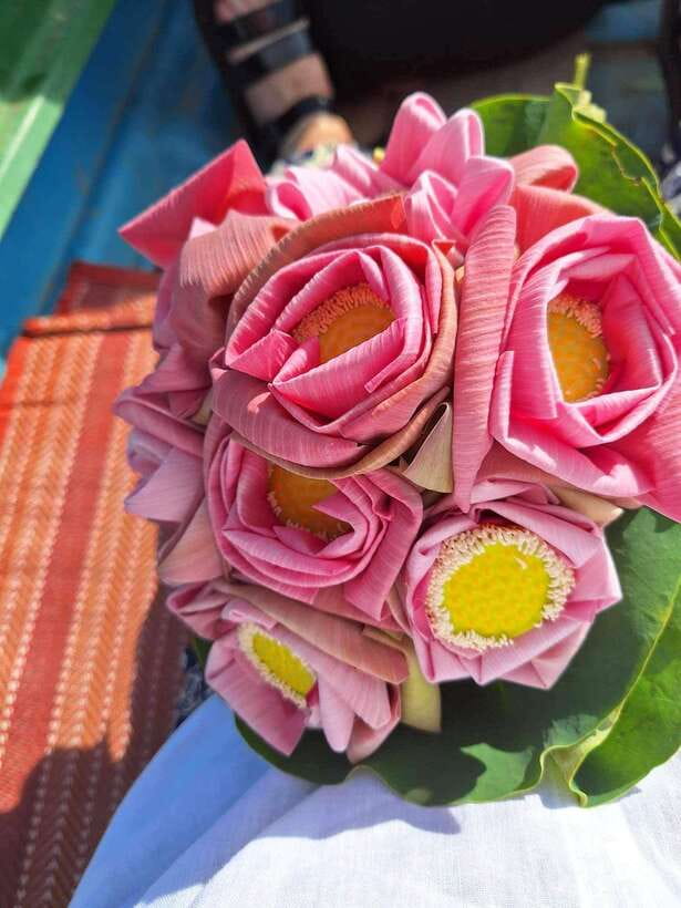 Siem Reap Lotus Silk Farm Discovery tour & Lake experience - Lotus tea, biscuits, and a rooftop pause