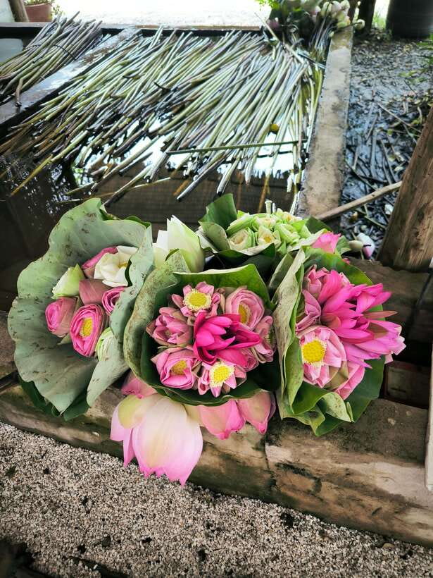 Siem Reap Lotus Silk Farm Discovery tour & Lake experience - Is $20 good value?
