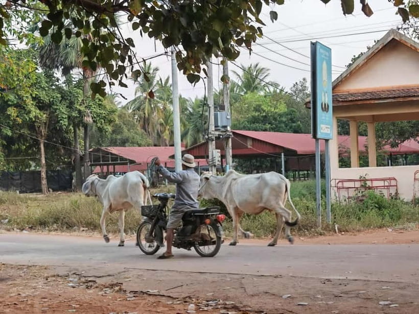 Siem Reap: Monk Blessings and Village Life Scooter Tour - A Cambodian home and the work of making food